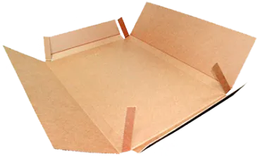 rasp.png